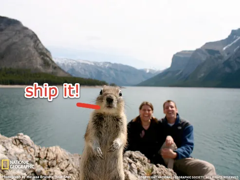 Squirrel with a Ship it text